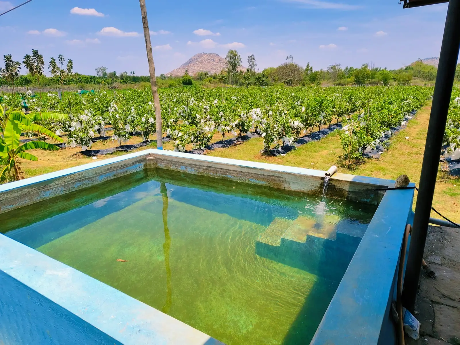 Farmhouse at Anugraha Farm