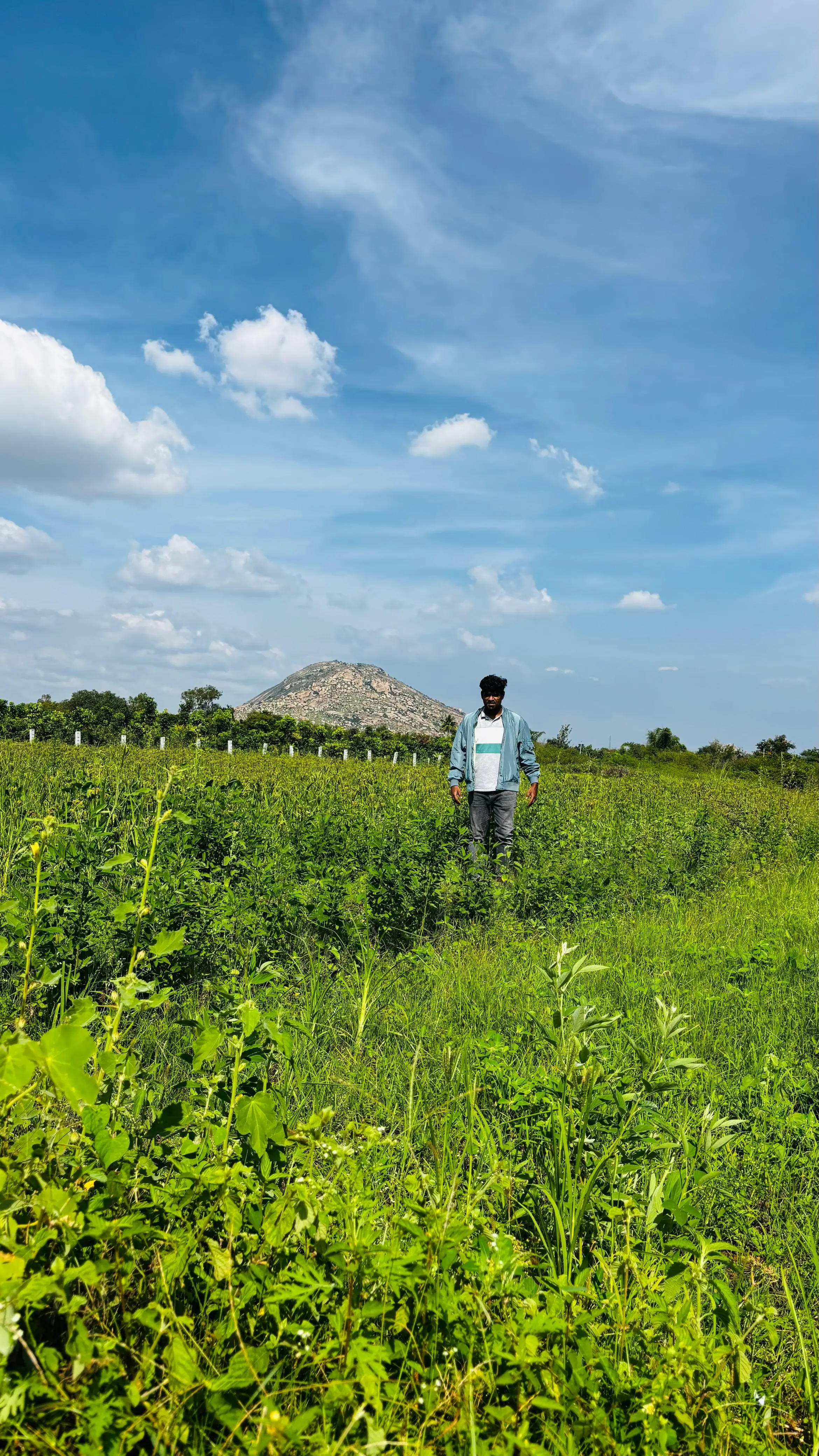 Farm fields at Anugraha Farm