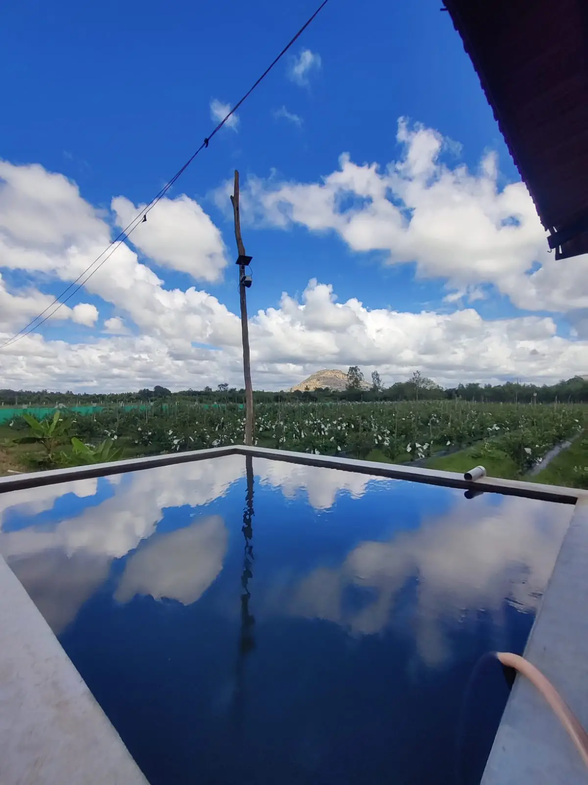 Anugraha Farm photo 5